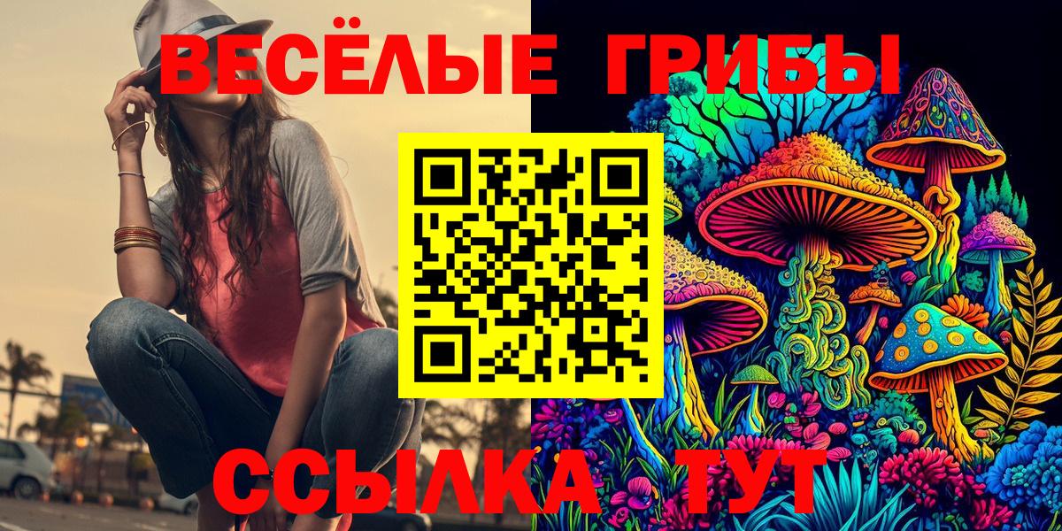 Псилоцибиновые грибы мицелий Евпатория