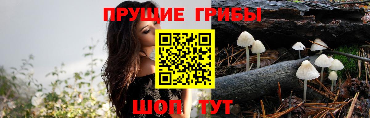 Псилоцибиновые грибы прущие грибы  Вход с VPN  Евпатория 